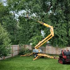 Best Emergency Tree Removal  in Craig, AK